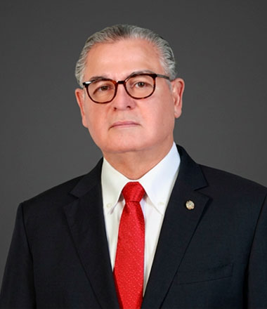 Anel Flores De La Lastra