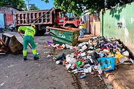 Recolección Rana de Oro corregimiento de Pedregal