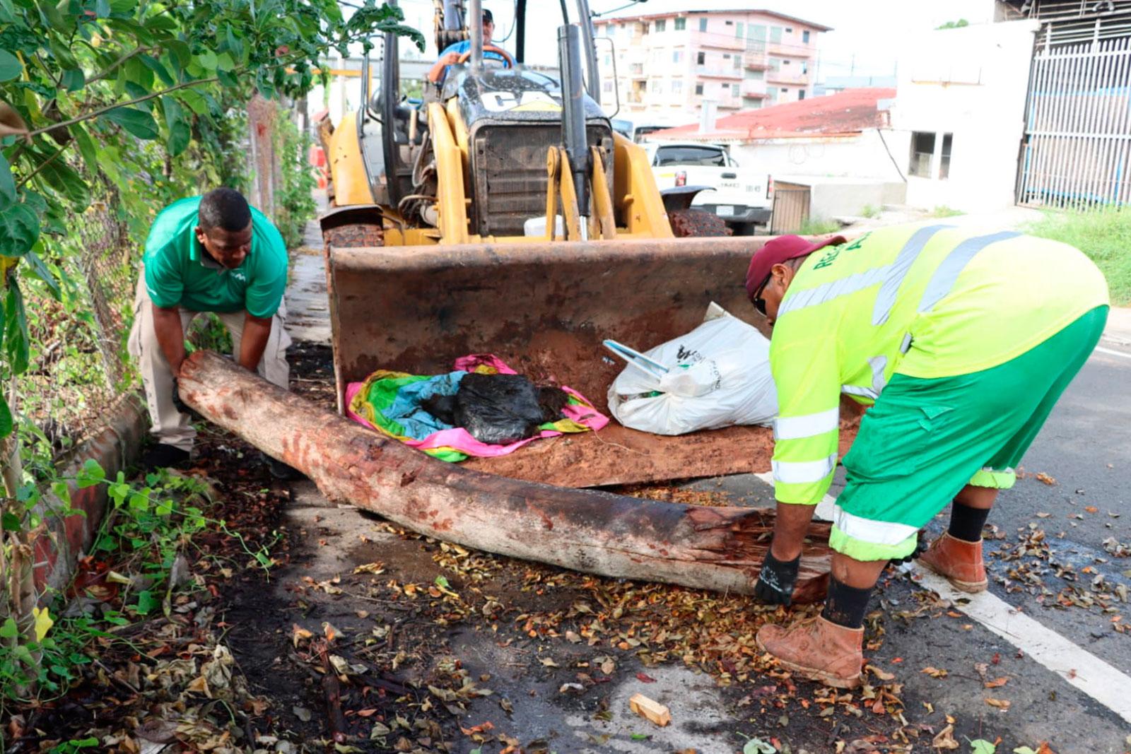 Recolección de enseres y despojos en el corregimiento de Pedregal