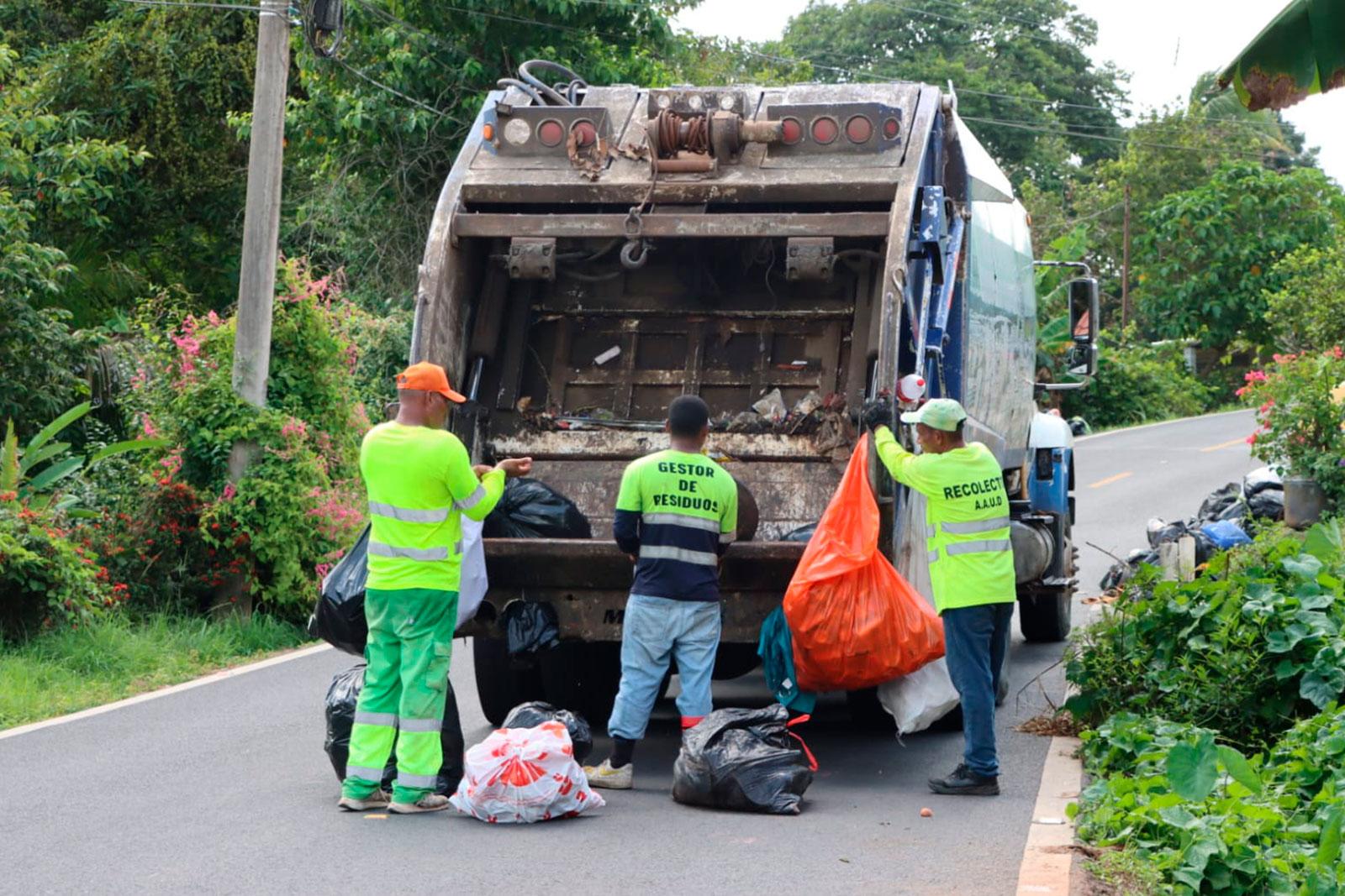 Recolección en La Cabima, corregimiento de Alcalde Díaz