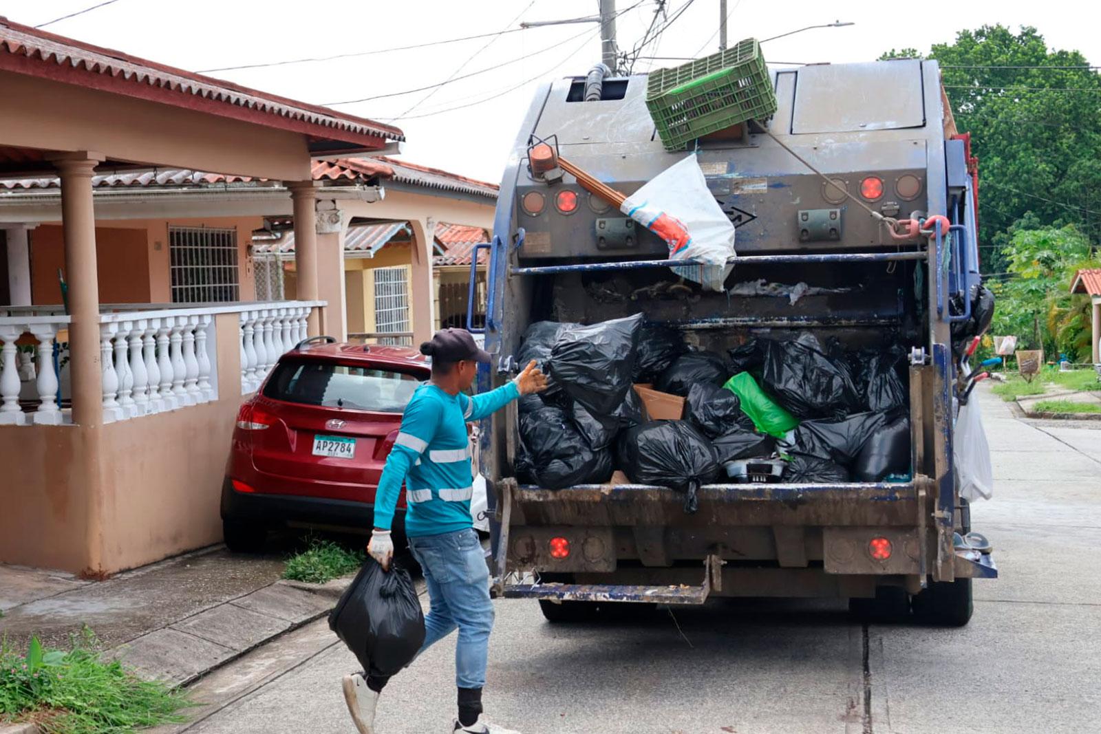 Recolección en Villa Verónica, corregimiento José Domingo Espinar.