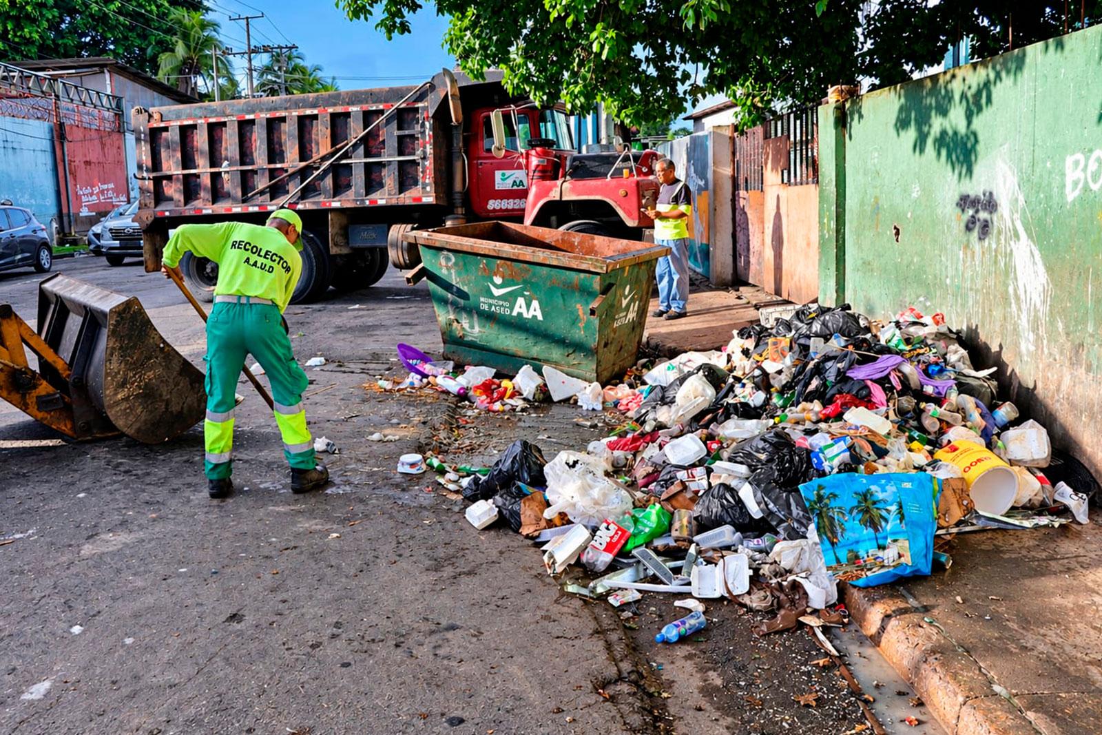 Recolección Rana de Oro, corregimiento de Pedregal