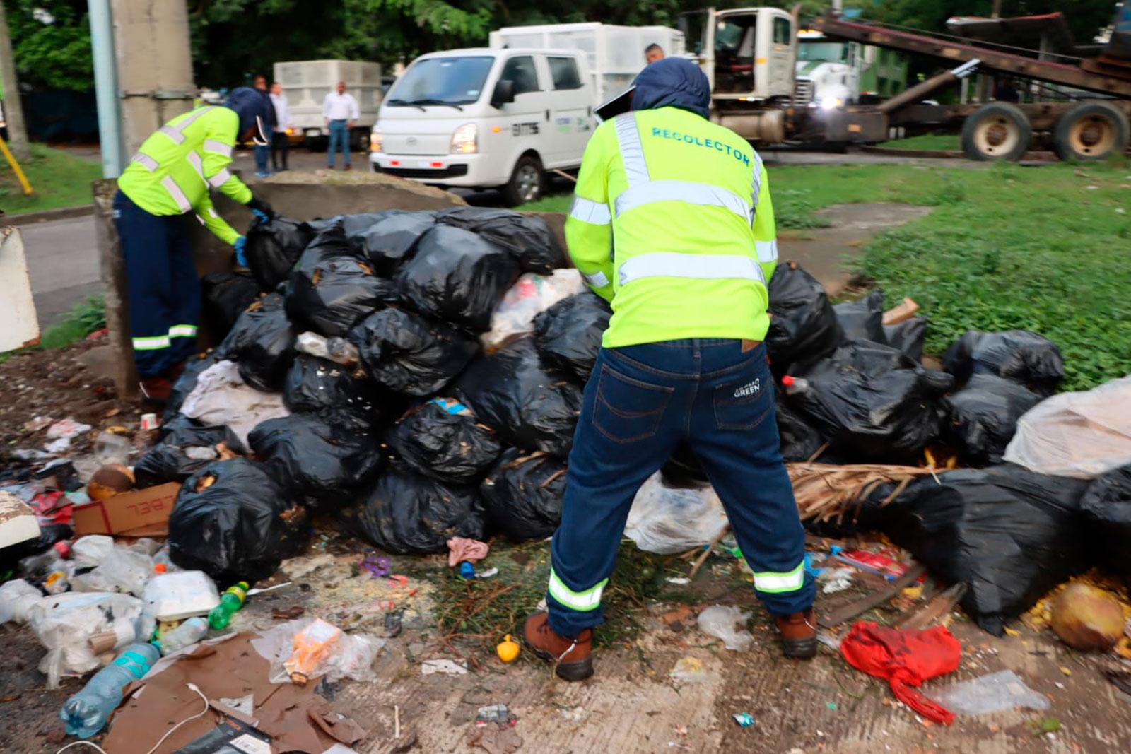 Recolección en Los Libertadores, corregimiento Bethania
